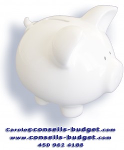 Communiquez par courriel en cliquant ici. Mon adresse courriel est carole@conseils-budget.com cochon11